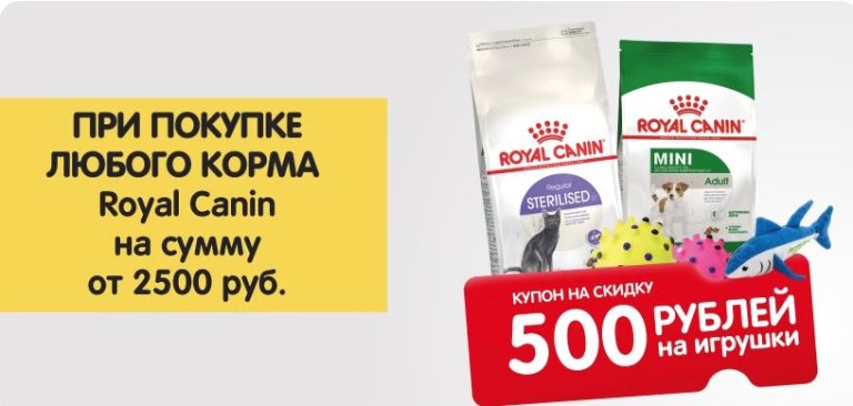 Инвестируйте в счастье вашего питомца: товары, которые они оценят